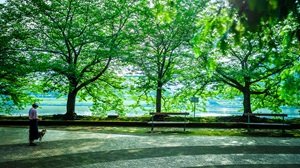 石川島公園
