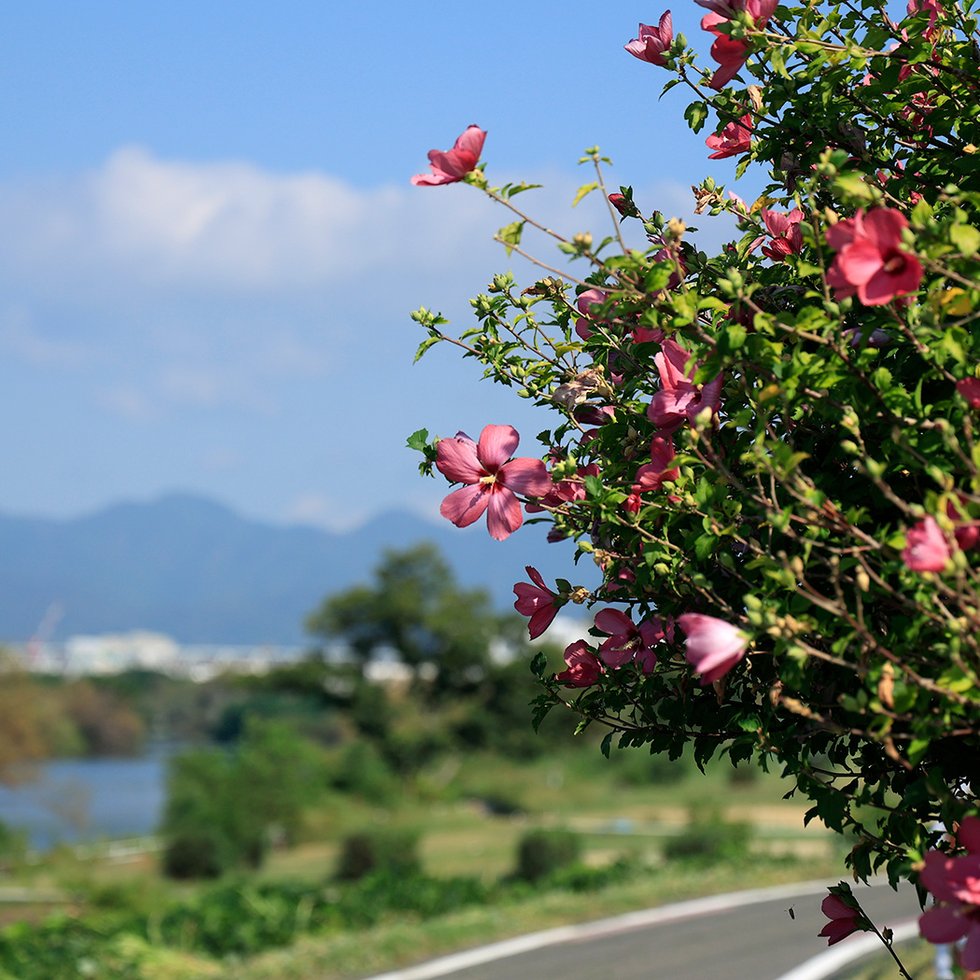 久世橋東詰公園