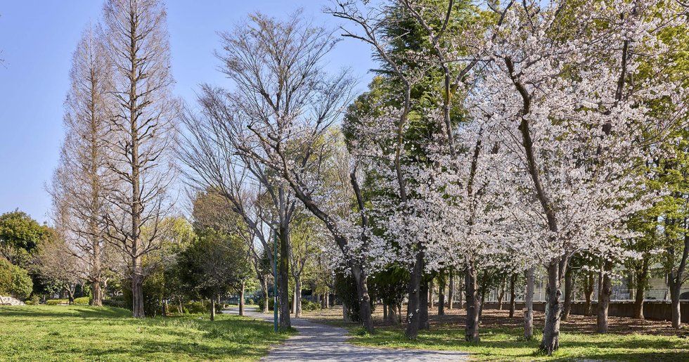 小柳公園