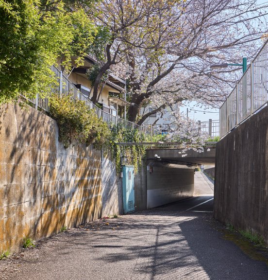 小柳散歩道