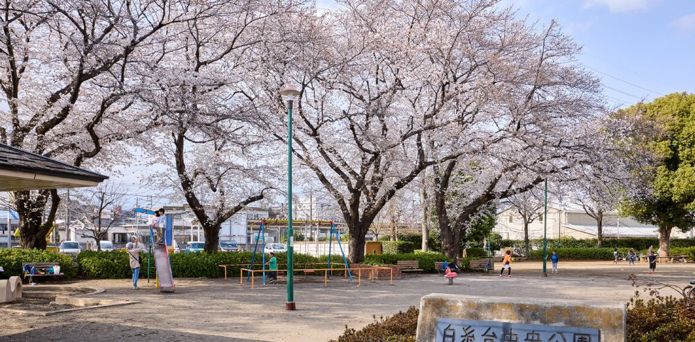 白糸台中央公園