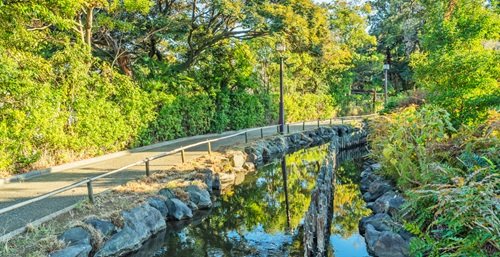 一之江境川親水公園