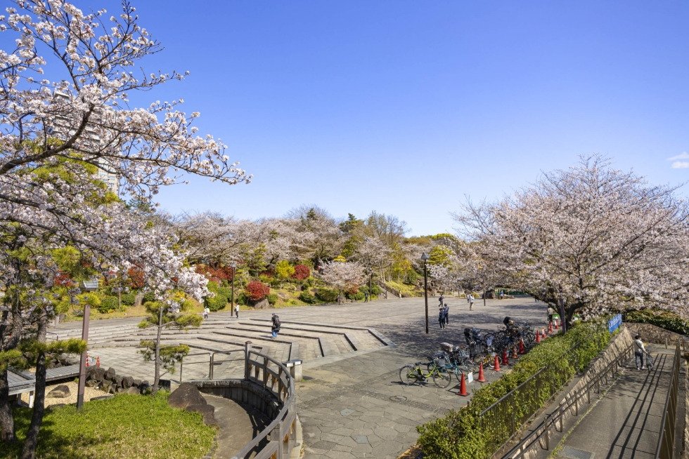 飛鳥山公園