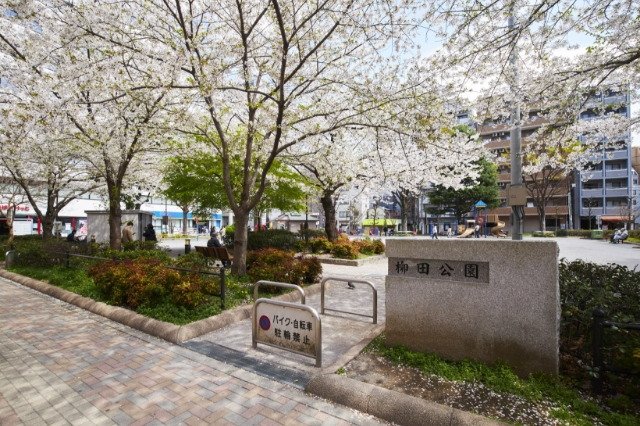 柳田公園