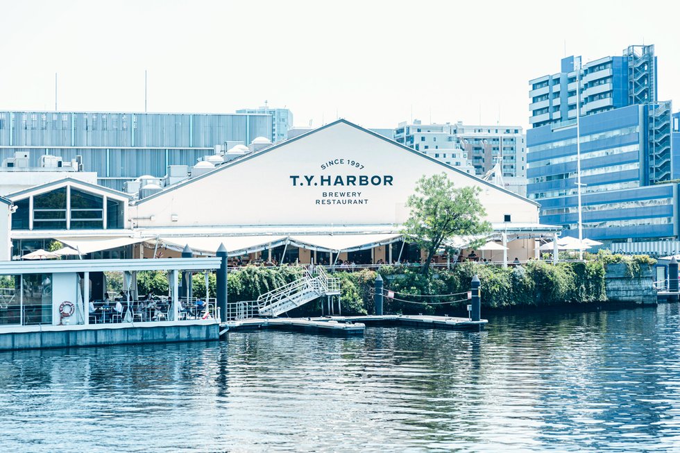 T.Y.HARBOR
