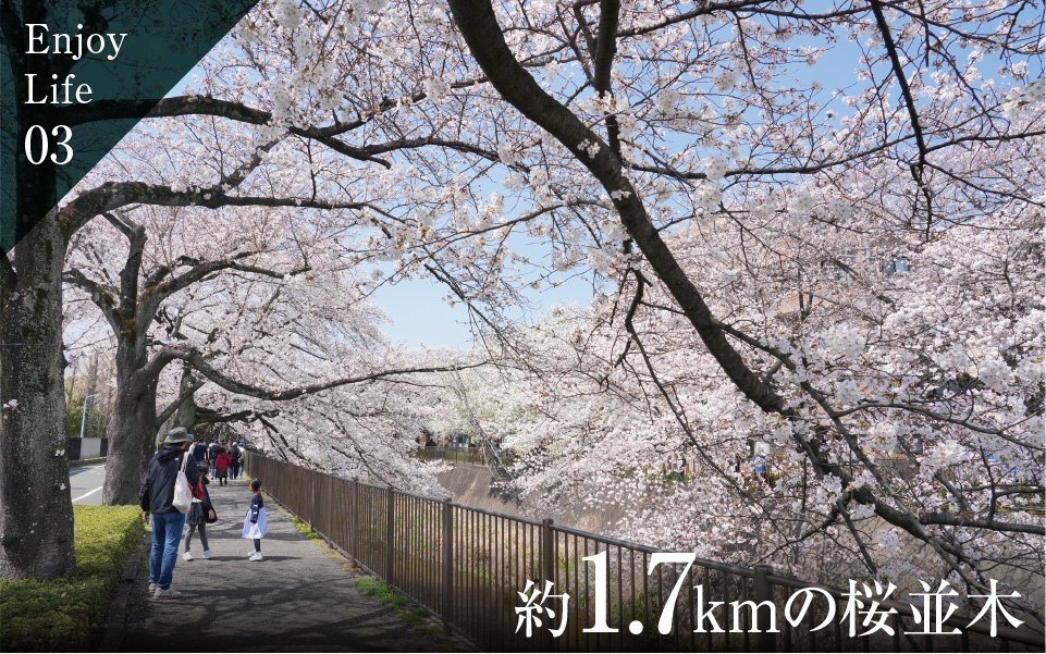 三沢川親水公園