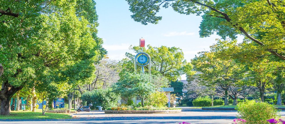 東綾瀬公園