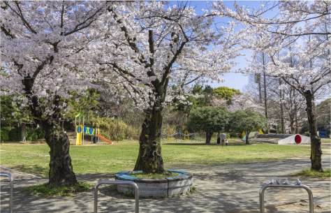 パロマ瑞穂スポーツパーク(瑞穂公園)