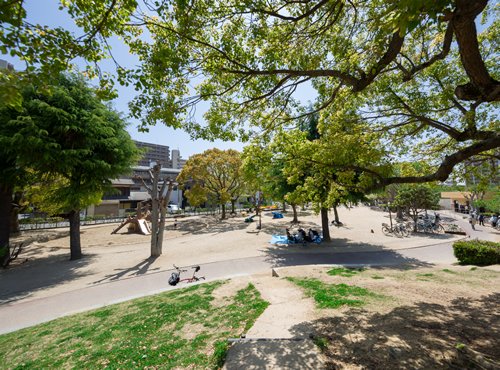 上ケ池公園