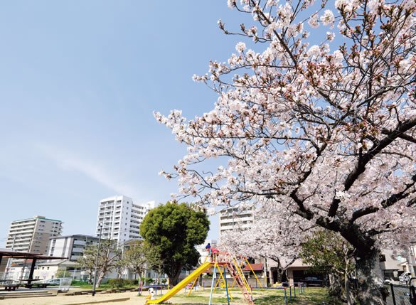 宮西公園