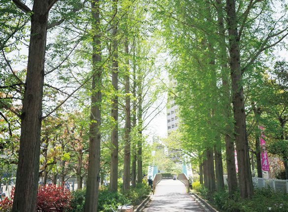 上ヶ池公園