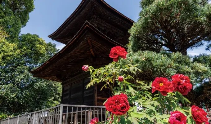 萬徳寺