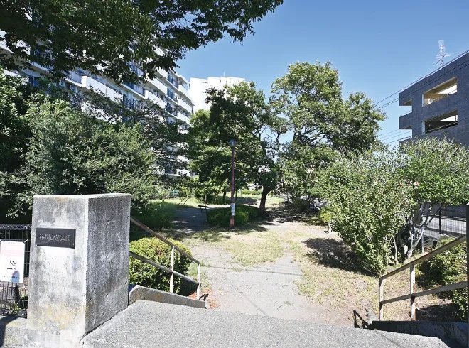 林間白笹公園