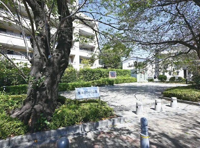 東林間さくら公園