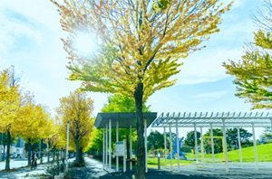 さっぽろ台地公園