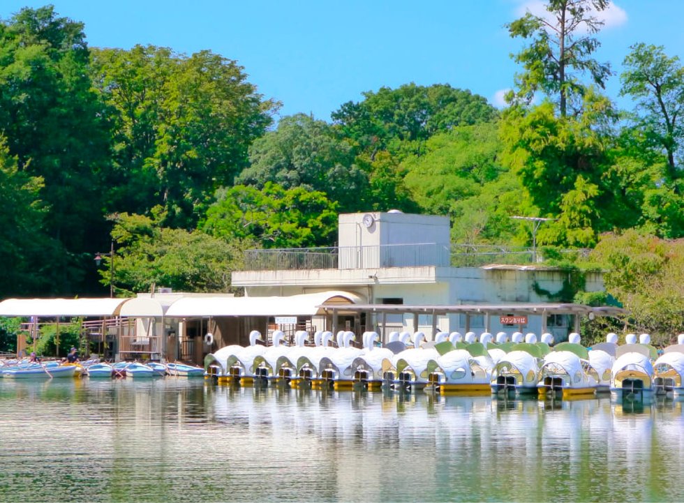井の頭池ボート場