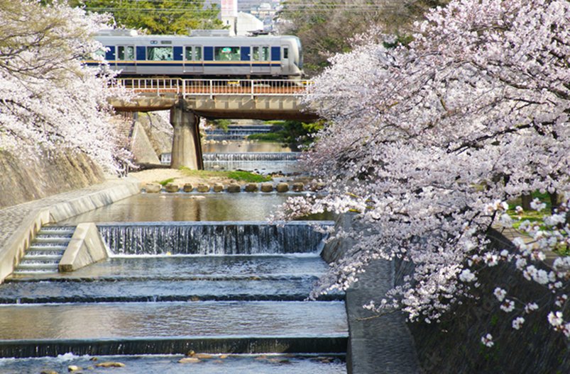 夙川河川敷緑地