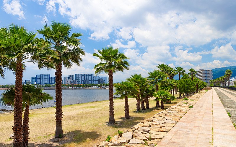 香露園浜御前浜公園