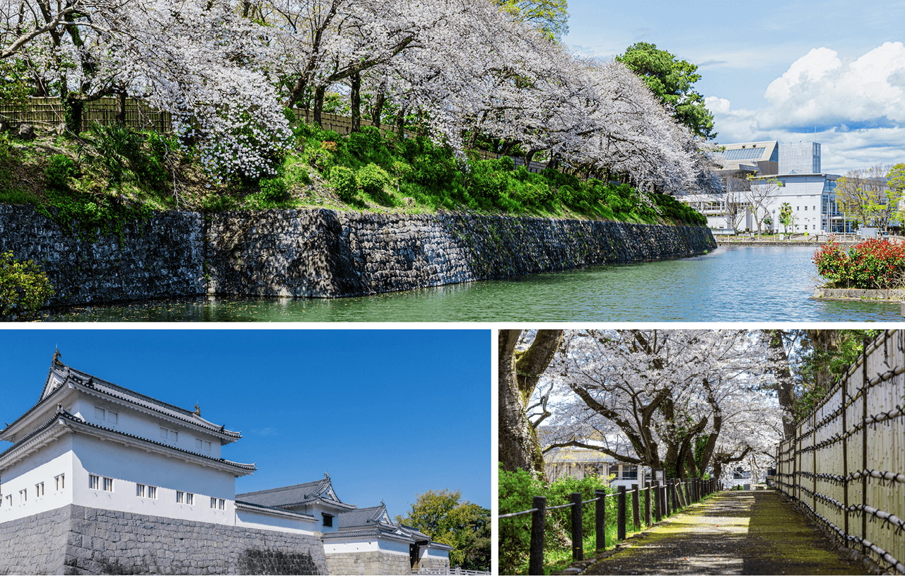 駿府城公園