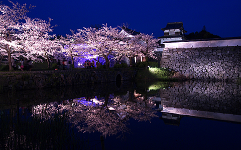 舞鶴公園