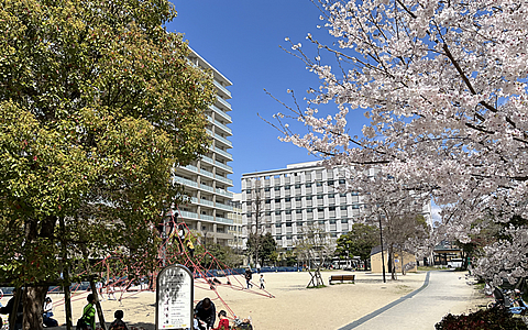 六本松公園
