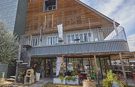 cafe olive