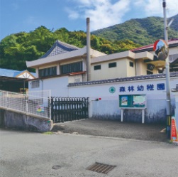 森林幼稚園