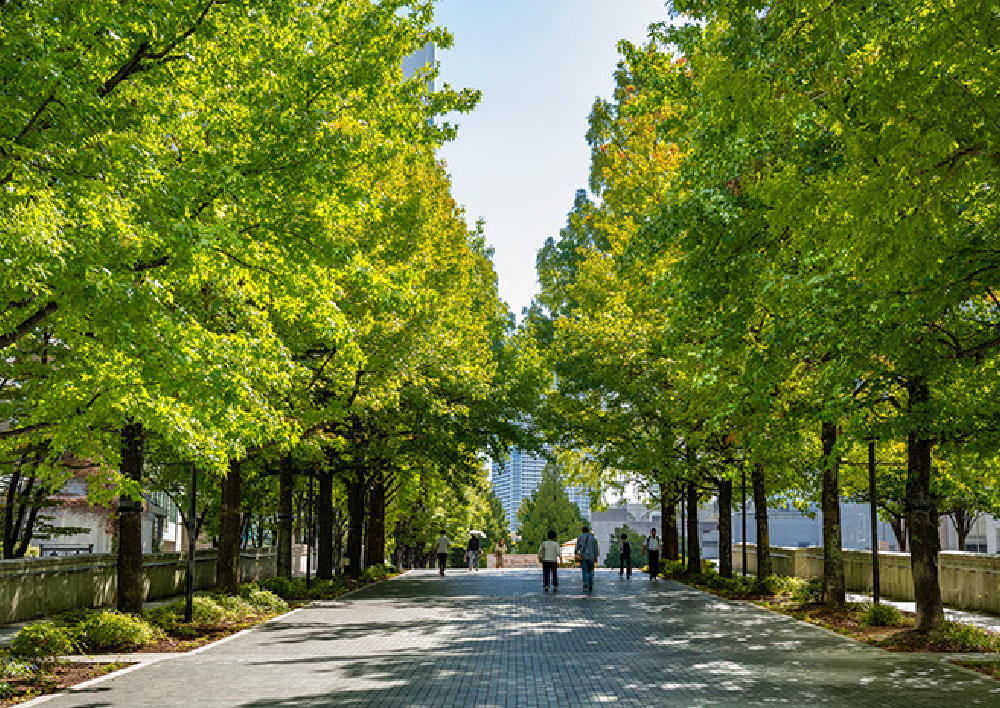 グランモール公園