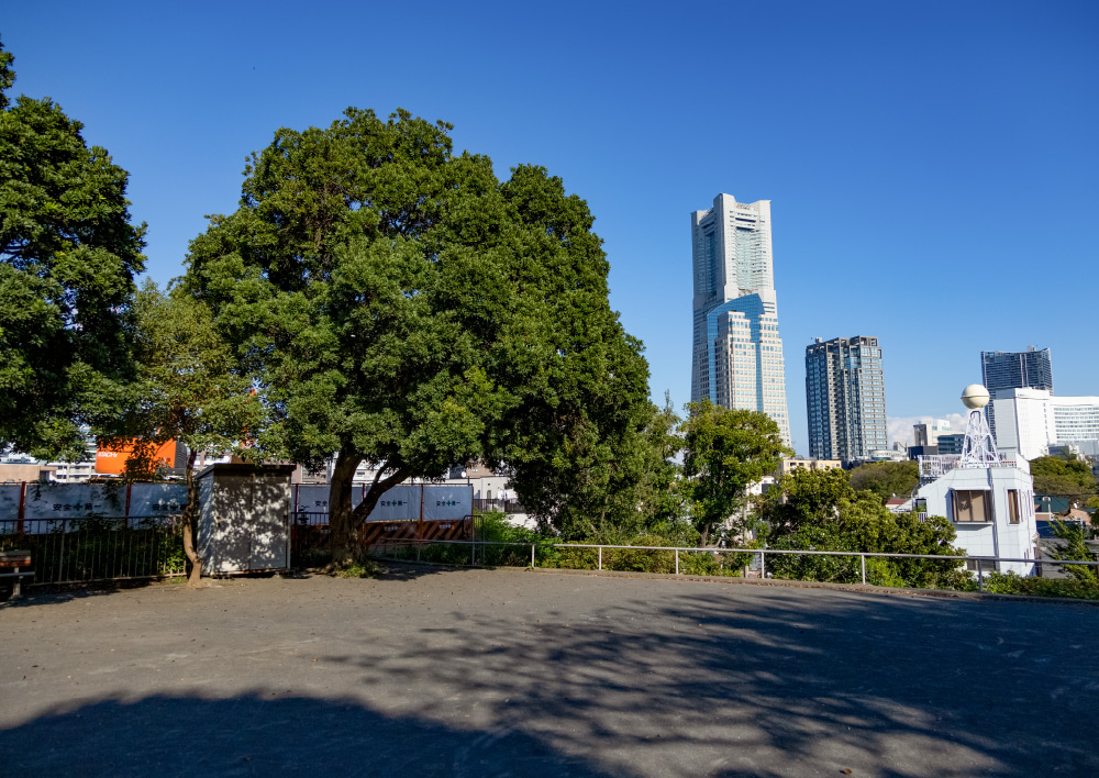 御所山公園