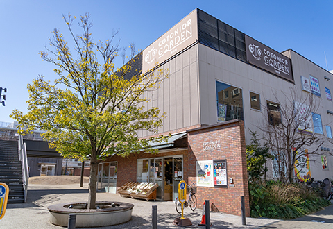 コトニアガーデン新川崎