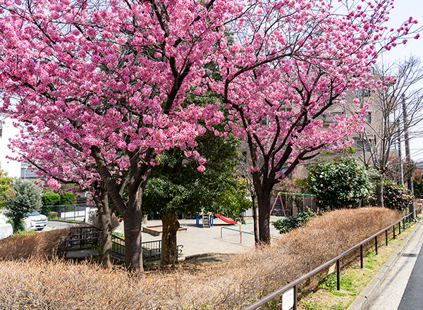 日吉五丁目公園