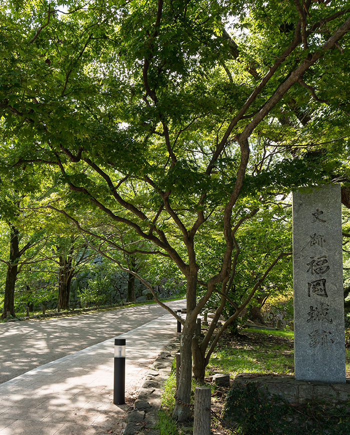 舞鶴公園
