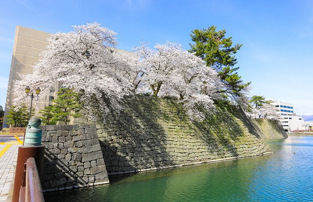 福井城址