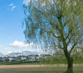 烏ヶ森公園
