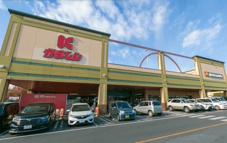 かましん　自治医大店