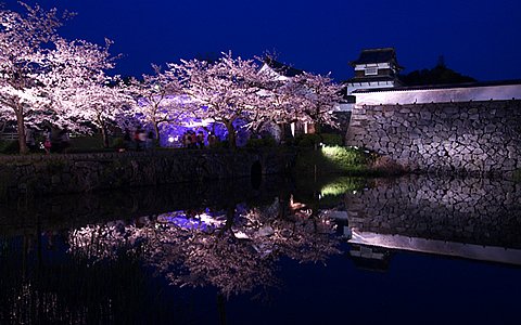 舞鶴公園