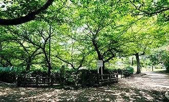 向泉寺公園