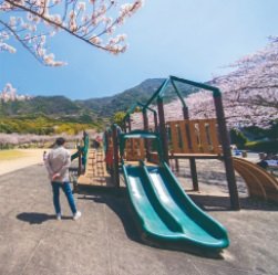 森林公園