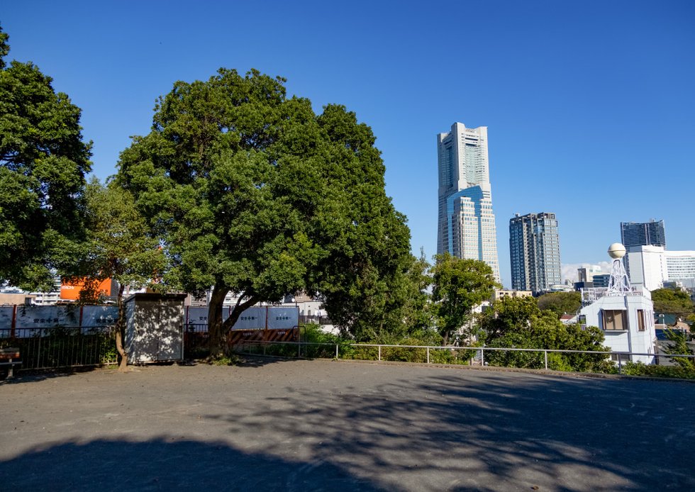 御所山公園