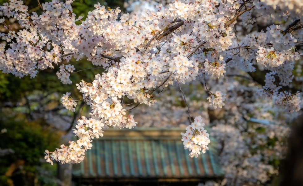 上野東照宮