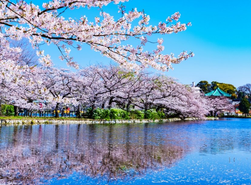 上野恩賜公園