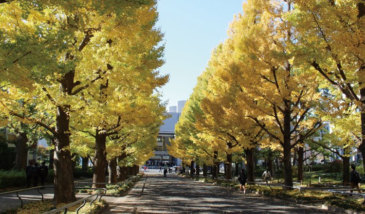 慶應義塾大学 日吉キャンパス