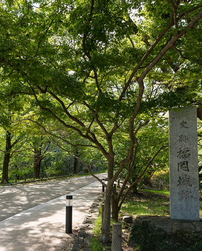 舞鶴公園