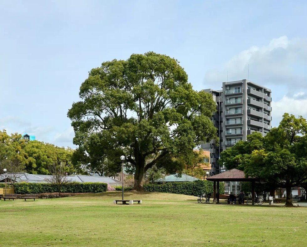 白川公園