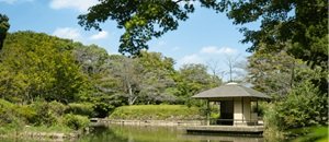 柏の葉公園