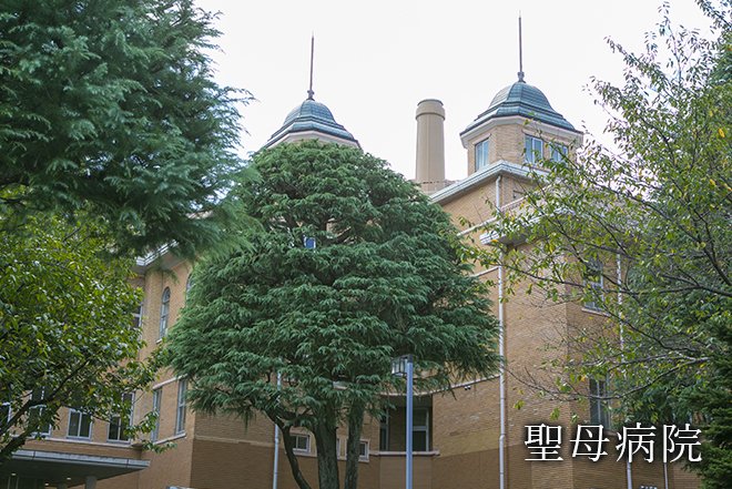 聖母病院