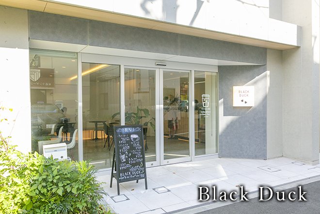 Black Duck