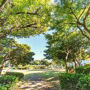 南流山6号公園