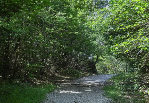 平和公園（星ヶ丘口）