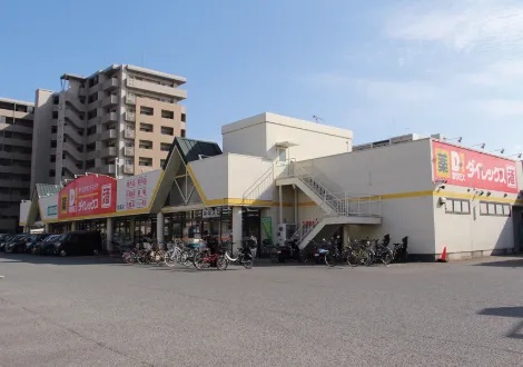 ダイレックス